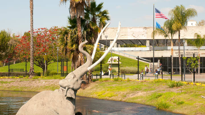 La Brea Tar Pits und Museum