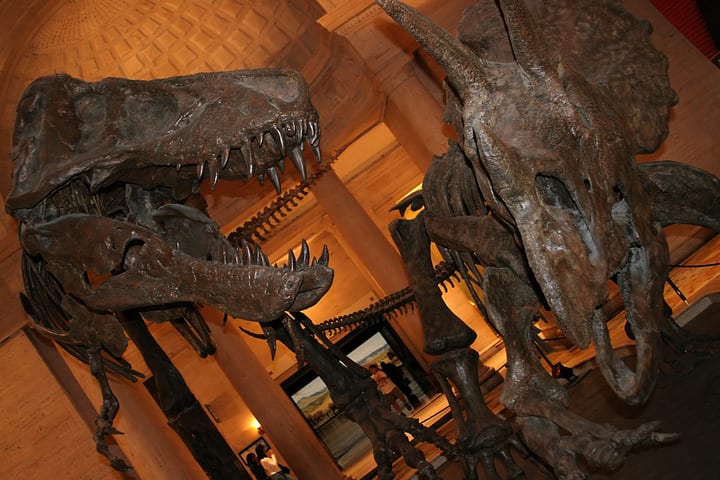 Museo de Historia Natural, Los Ángeles. Los mejore museos de Los Ángeles.