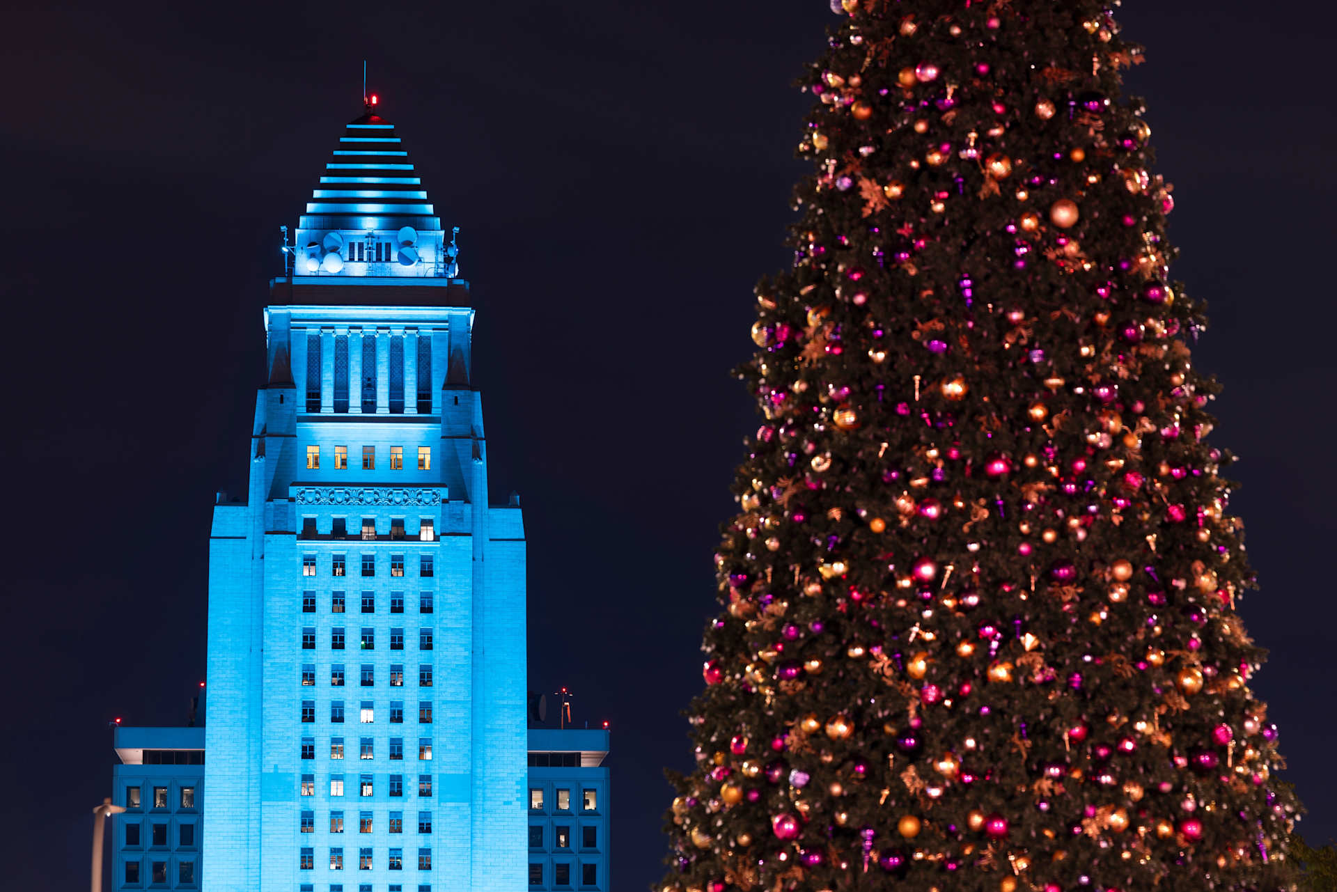 christmas tree in front of Los Angeles City Hall