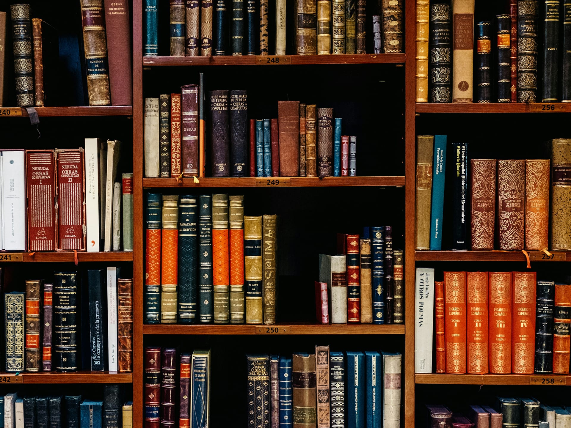 Bücher in der Bibliothek