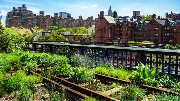 High Line Park