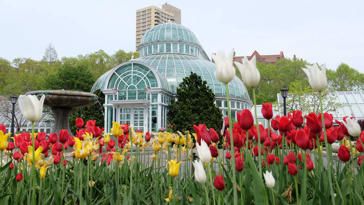 Der Prospect Park in New York