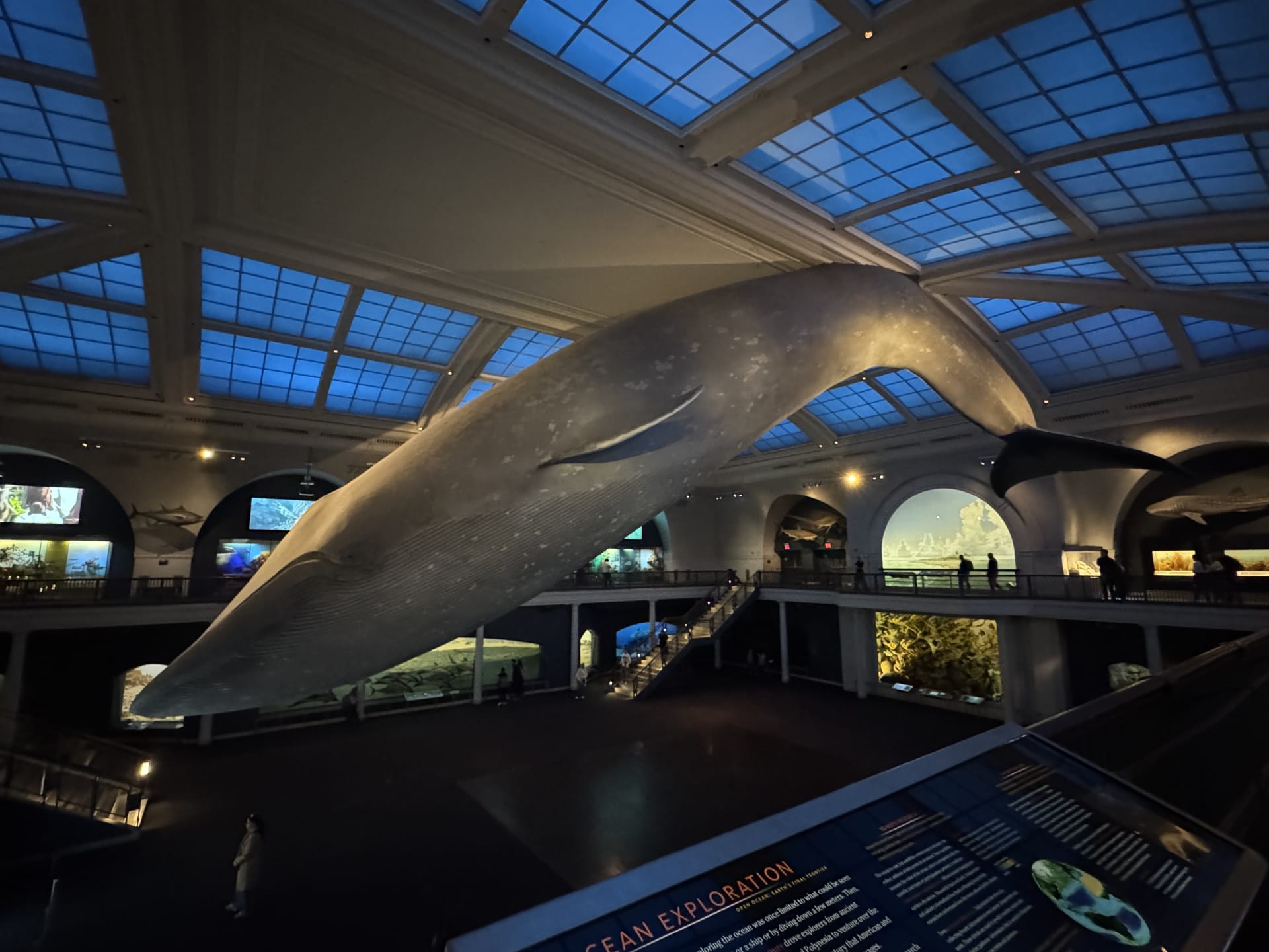 american museum of natural history