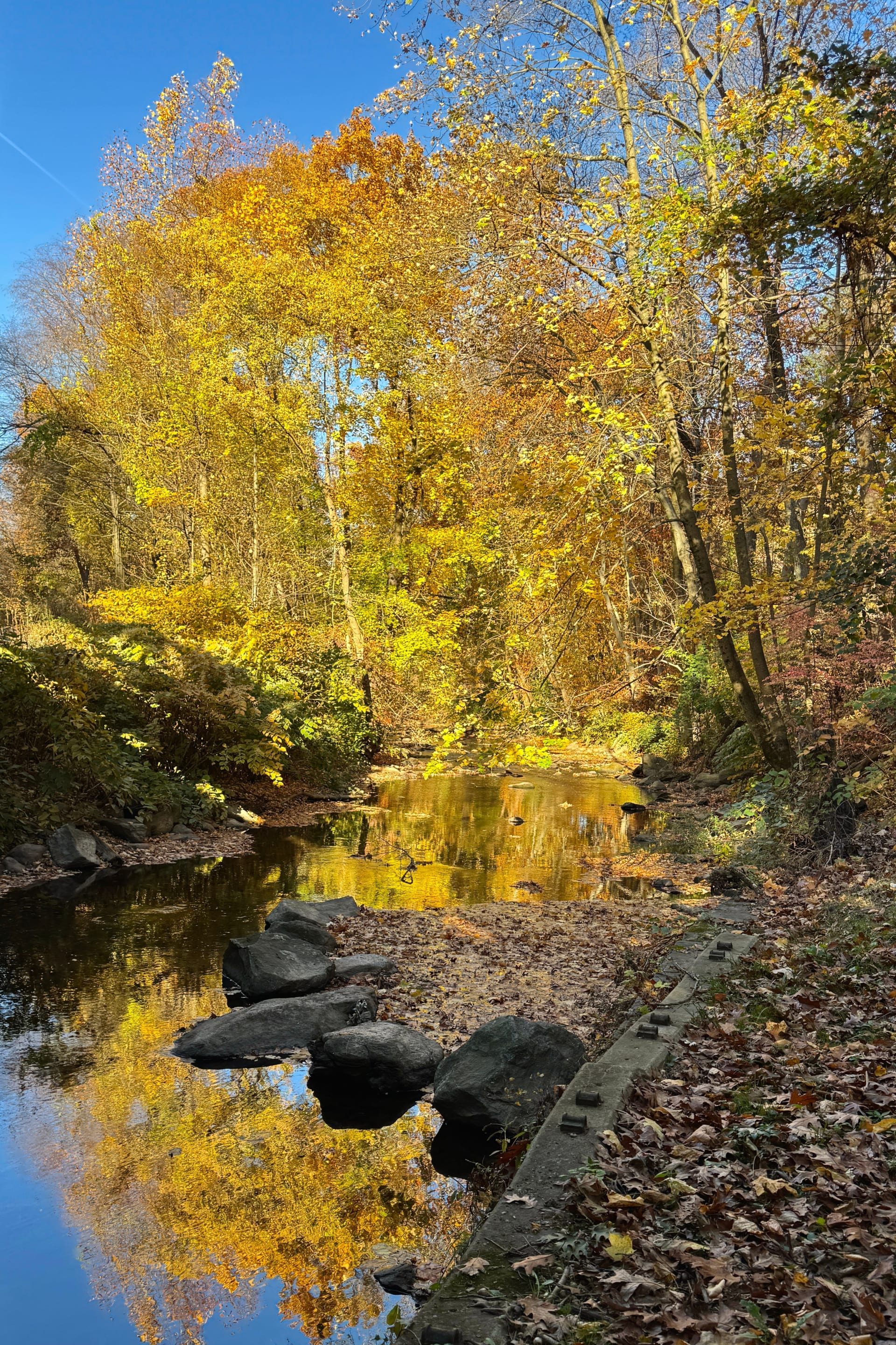 Sendero en Bronx River Greenway, Nueva York. Las mejores actividades en el Bronx, Nueva York.