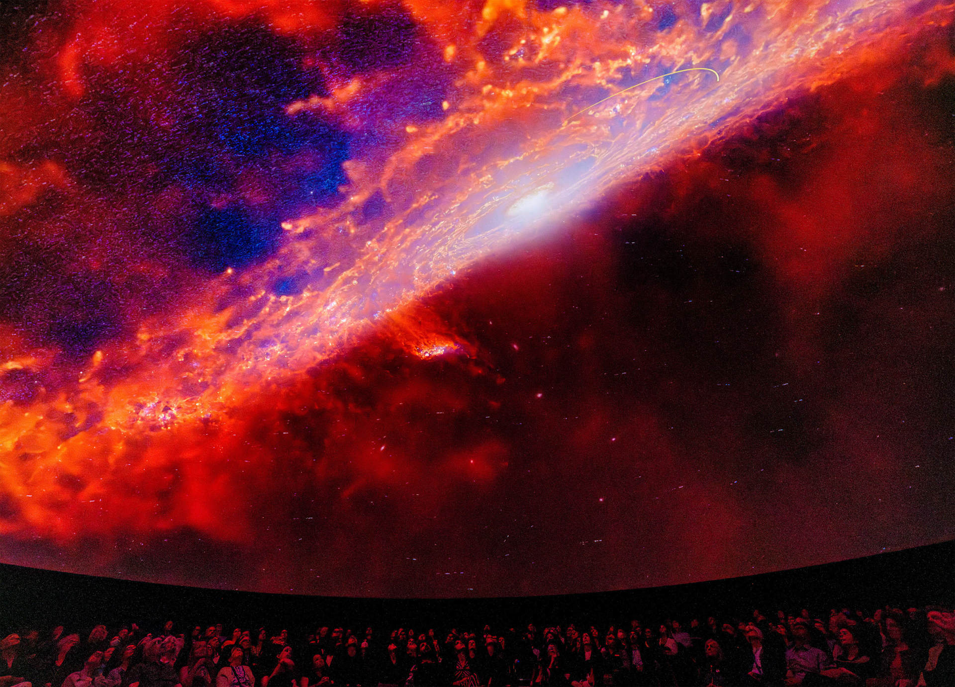 AMNH