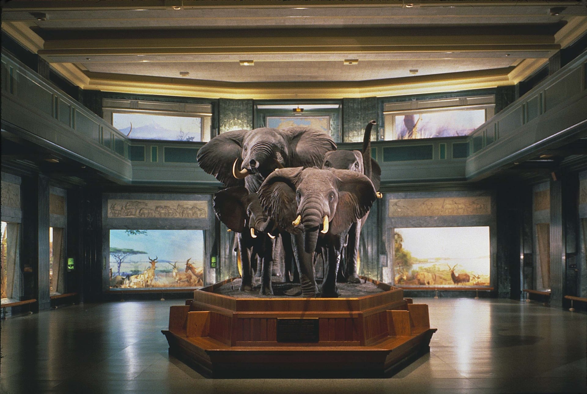 american museum of natural history, fun easter activity