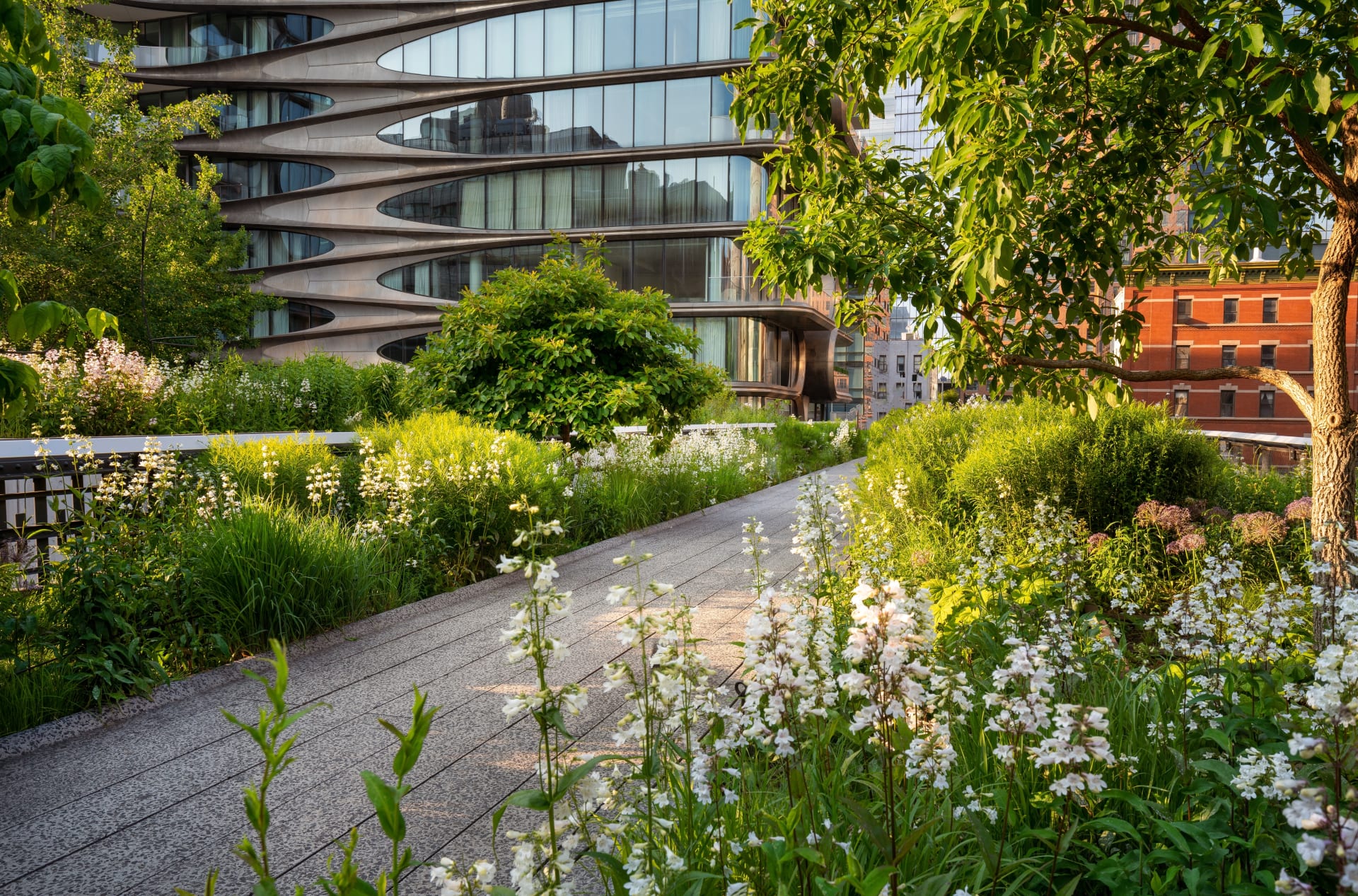 the high line in New York