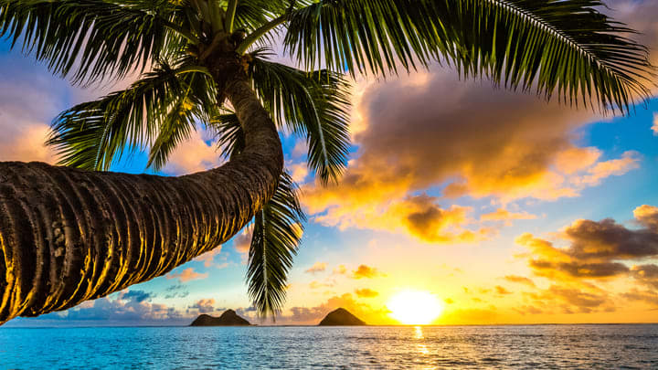 Sonnenuntergang auf Oahu