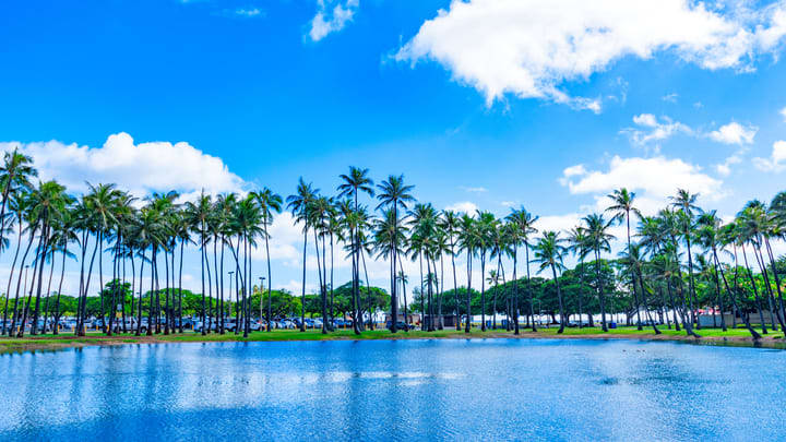 Ala Moana Beach Park