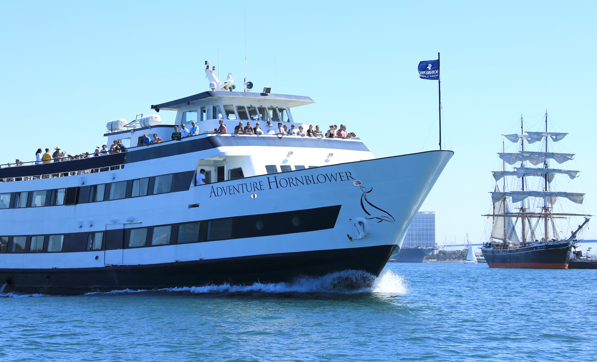 best of the bay cruise san diego