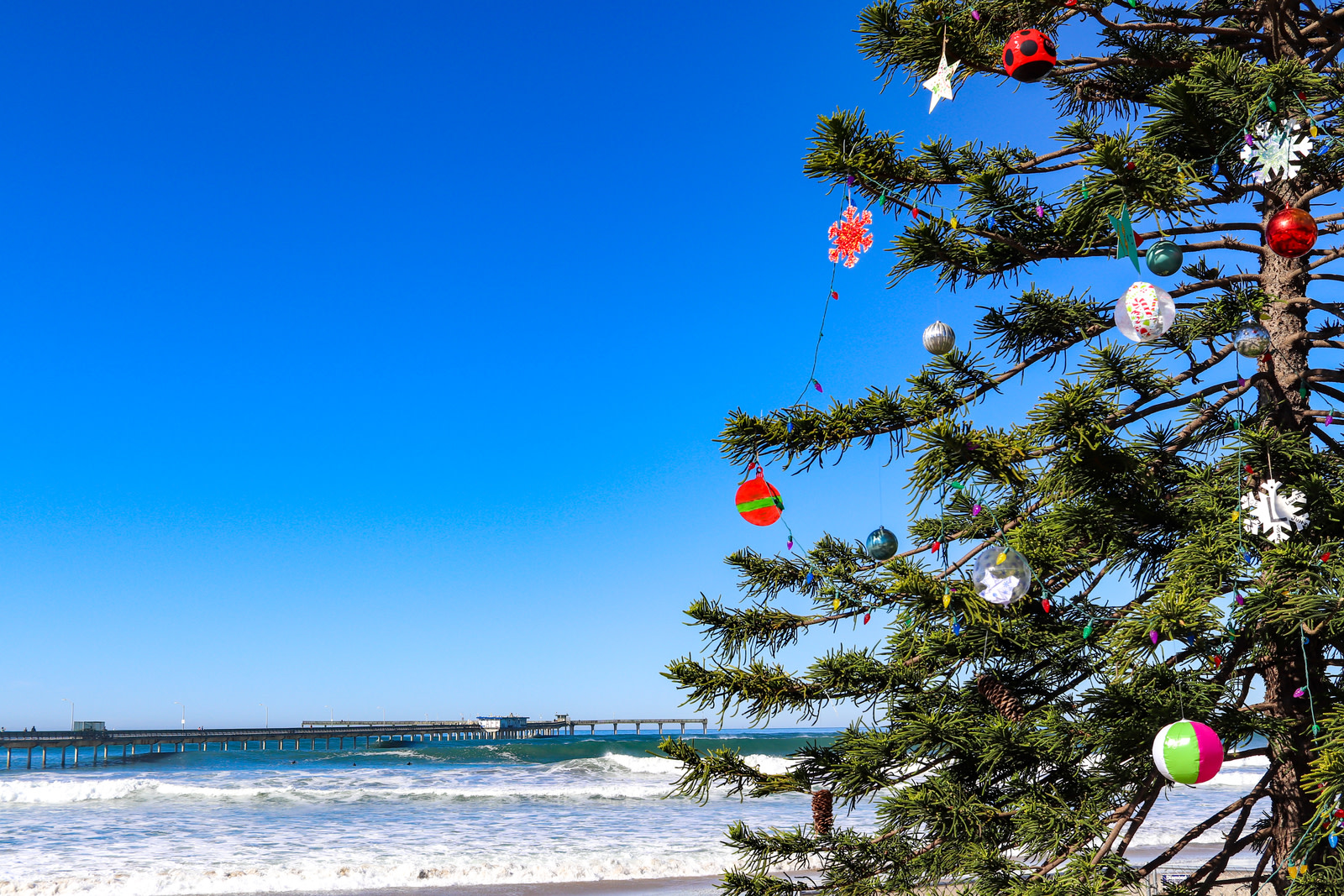 Weihnachtsbaum am Ocean Beach, San Diego