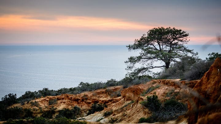 Vistas del océano Pacífico desde Torrey Pine, San Diego. Qué ver en San Diego en septiembre.