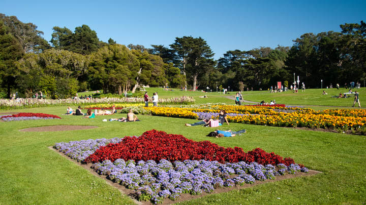 golden gate park