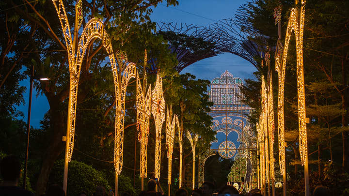 Christmas lights at Singapore's Gardens by the Bay