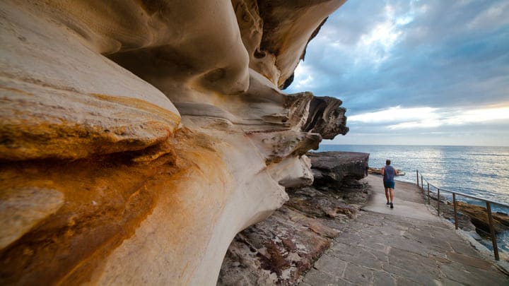 Jogger on the Bondi to Coogee Coastal Walk