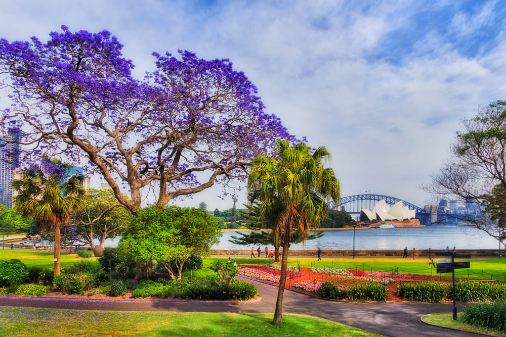 The Royal Botanic Garden in Circular Quay