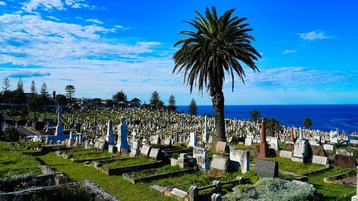 The Waverley Cemetery in Sydney