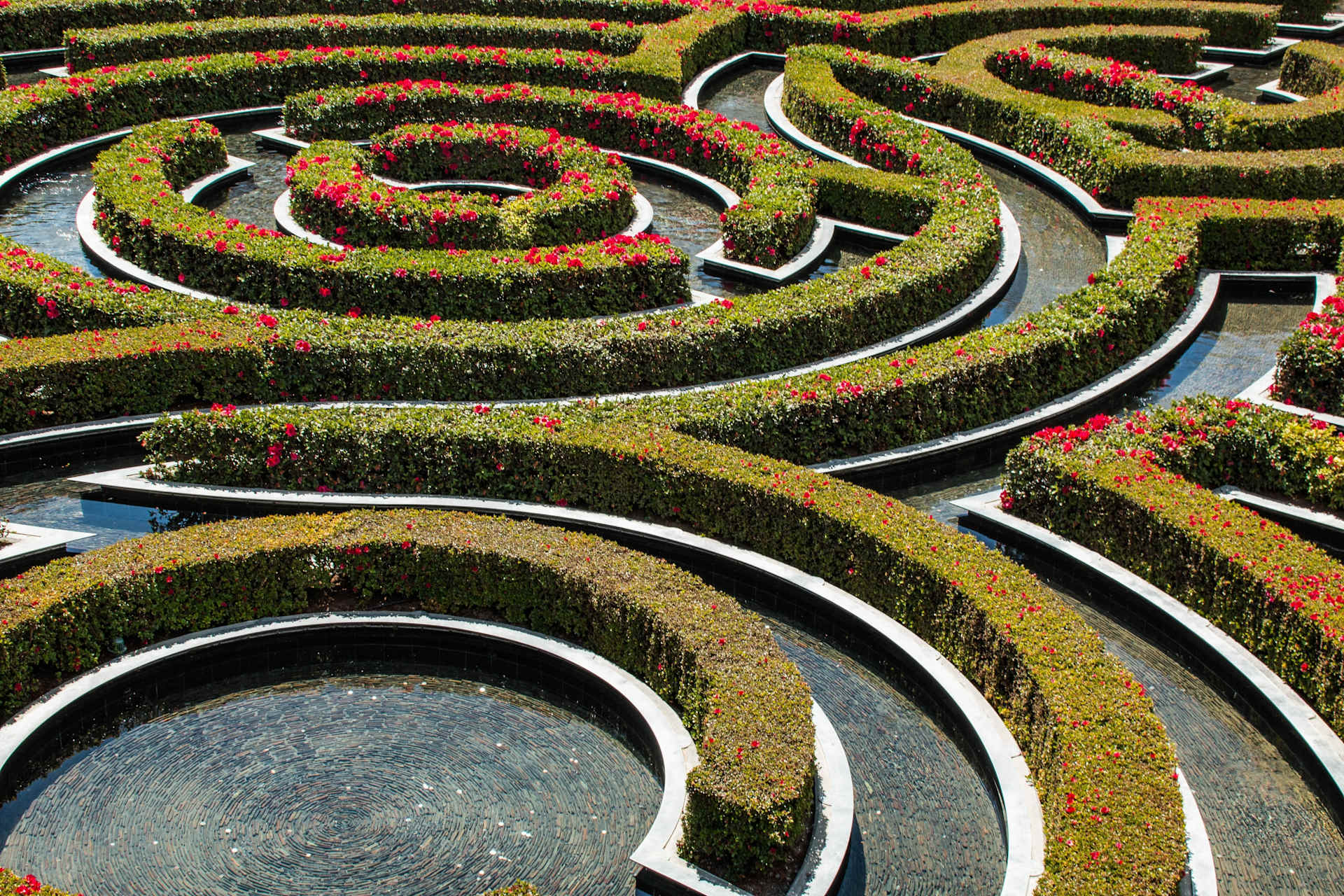 Gardens at The Getty Center