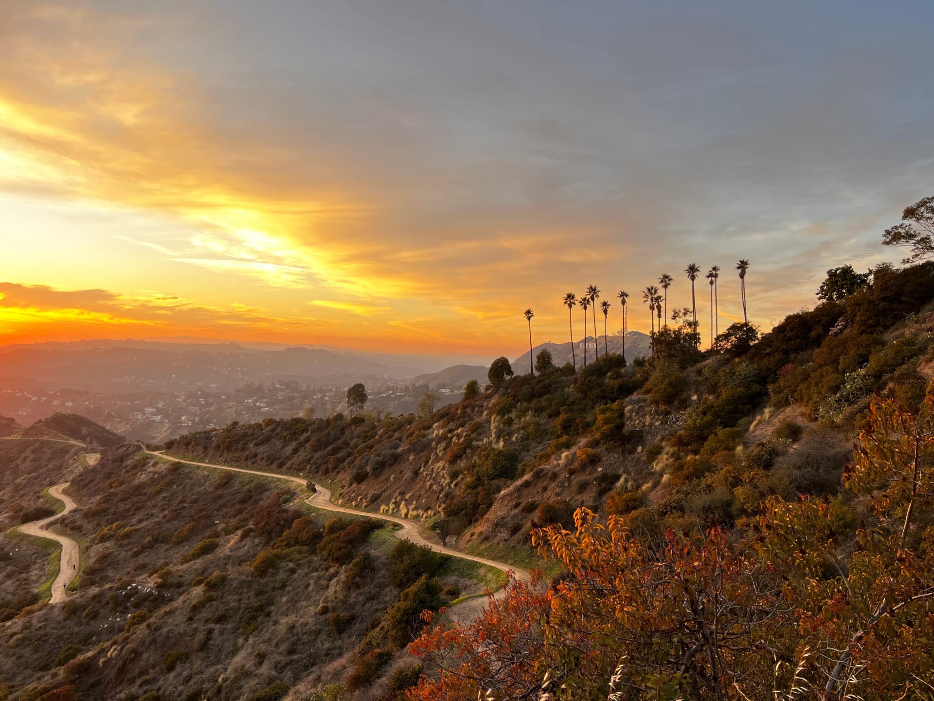 golden-hues-embrace-griffith-park-sunset