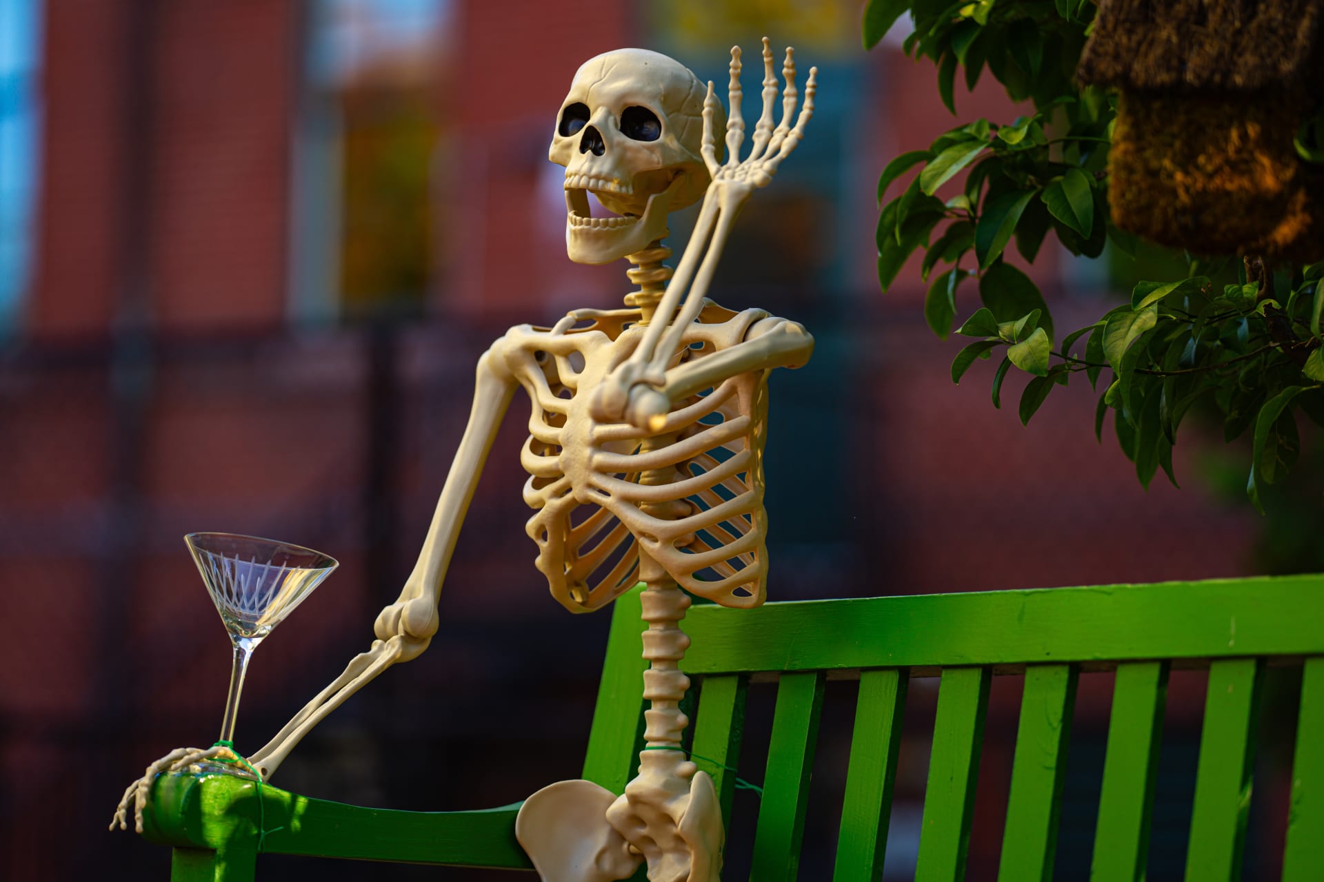 Skeleton drinking cocktails