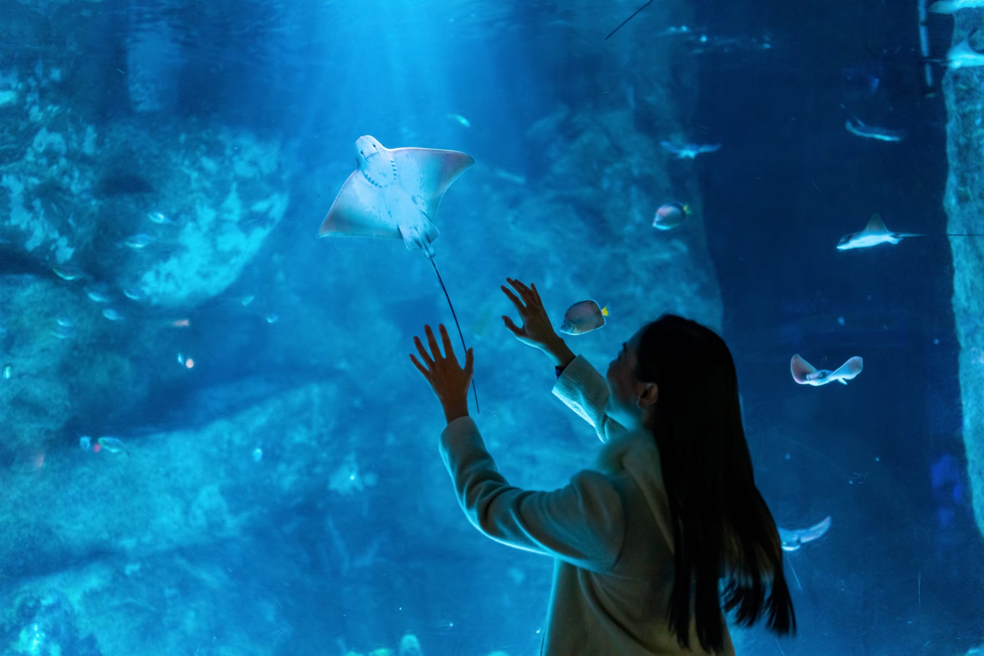 happy-asian-woman-enjoy-learning-sea