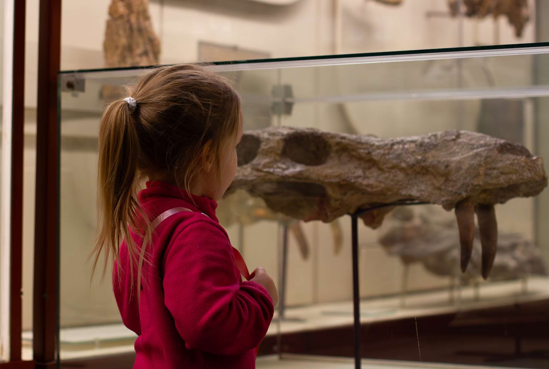 Child at Natural History Museum