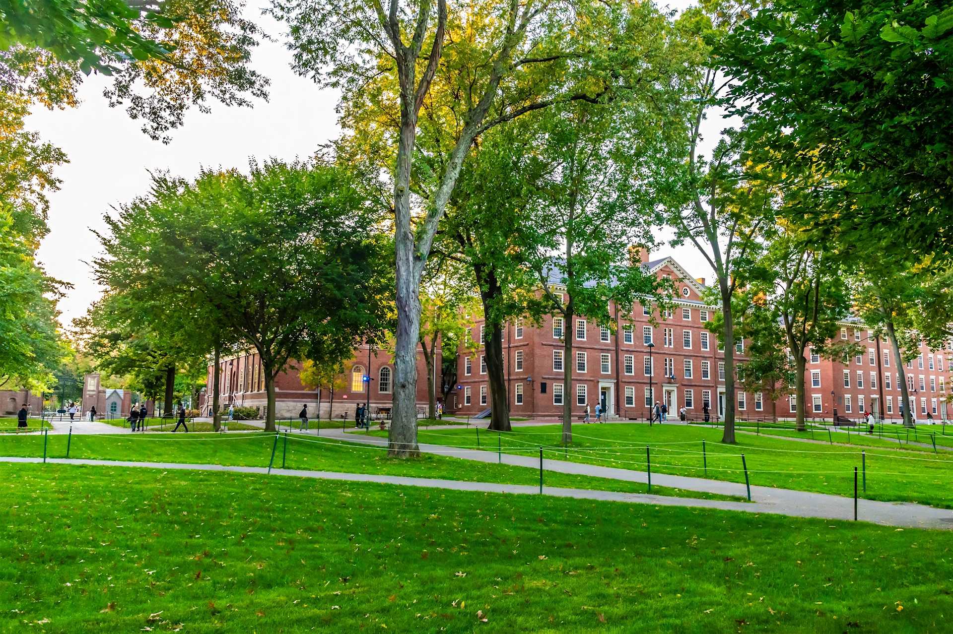 Harvard Yard