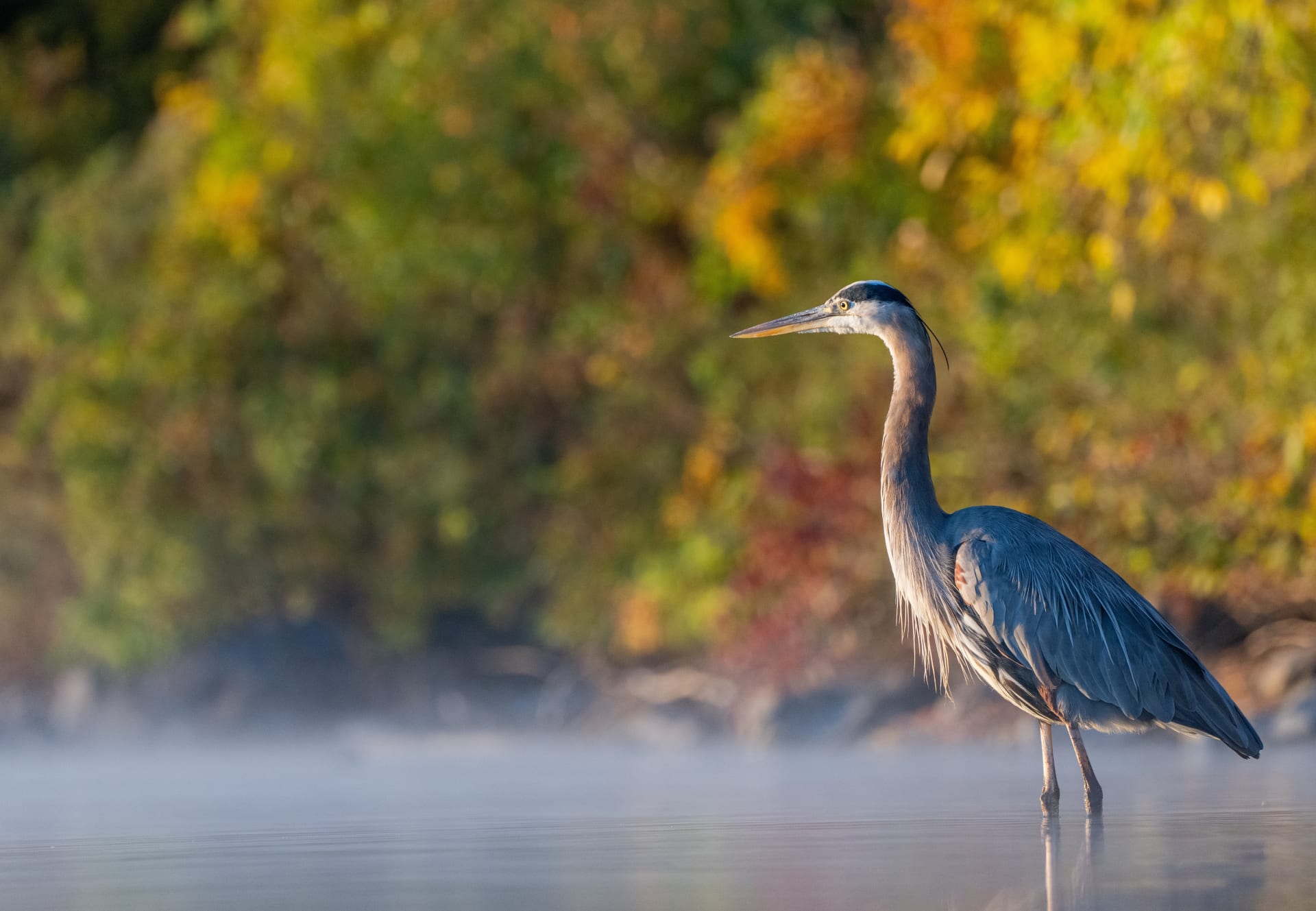 Batiquitos Lagoon Nature Center and Trailhead 