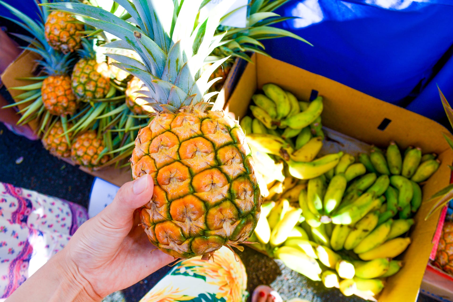 holding-pineapple-hand-bananas-background-yellow