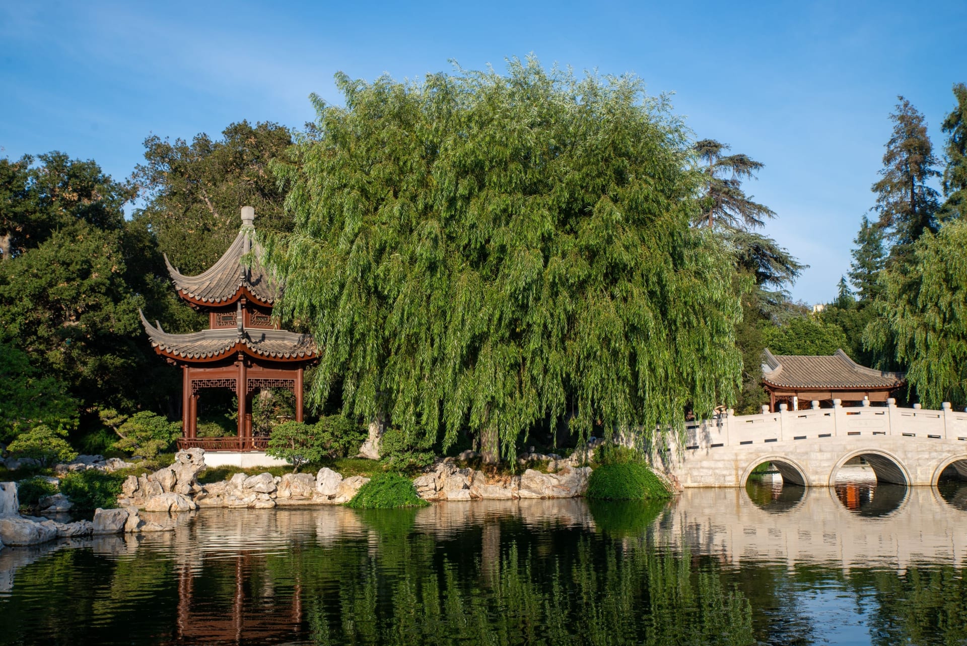 huntington-library-art-museum-botanical-gardens