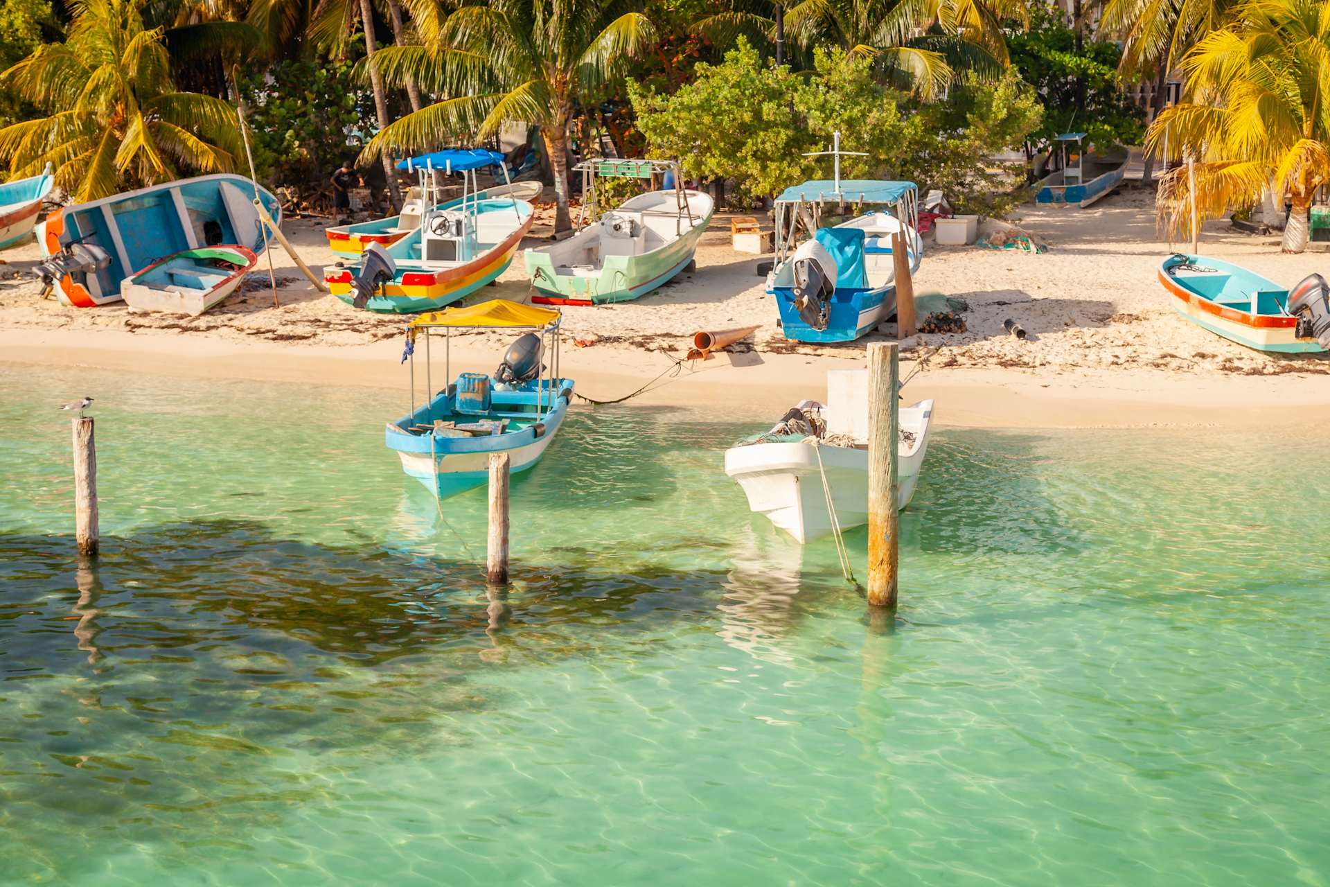 Fishing Boats on Isla Mujeres