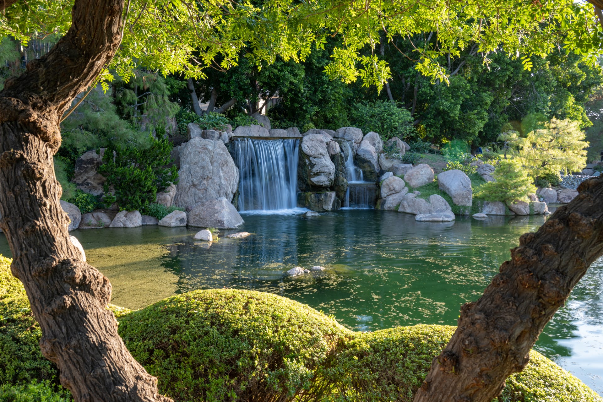 Japanese Friendship Garden