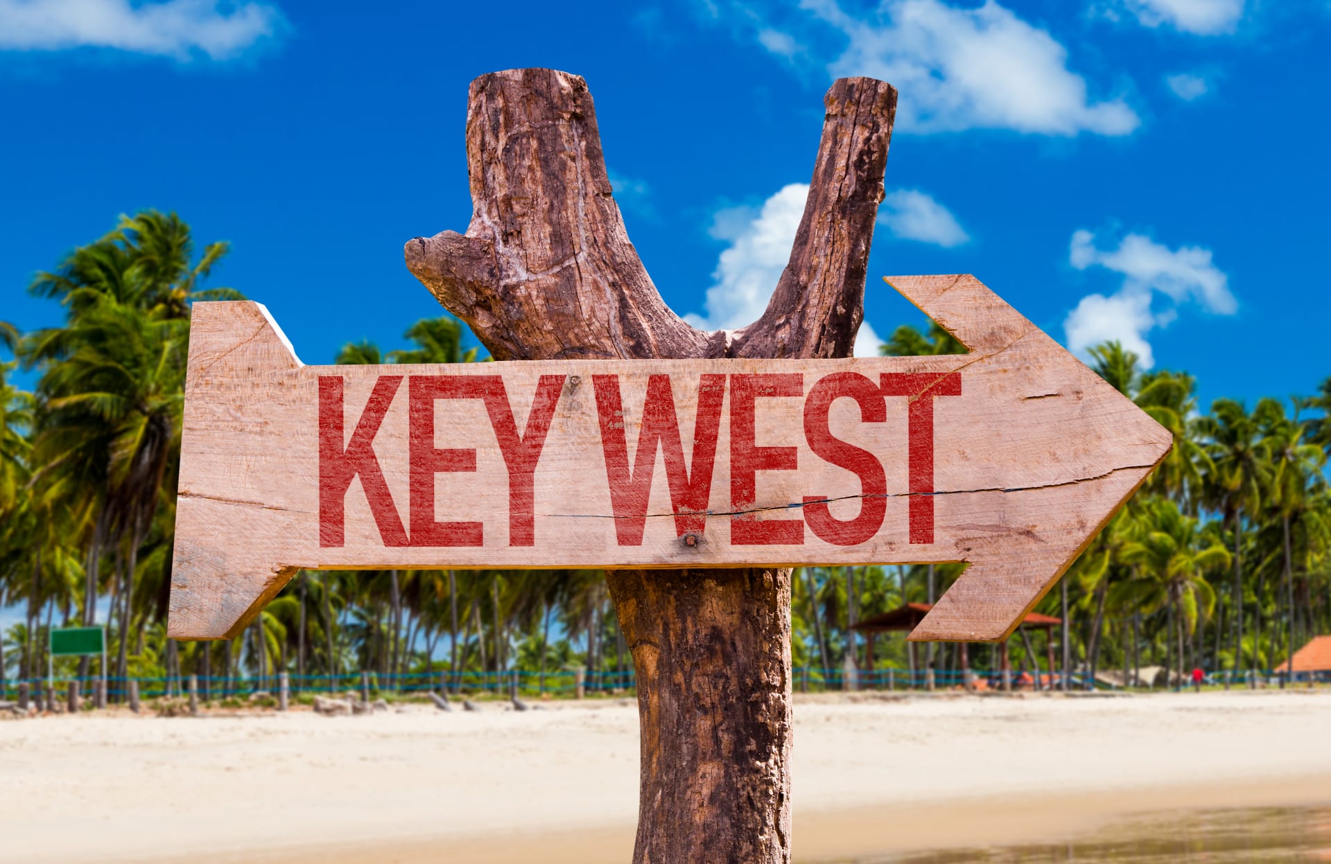 key-west-arrow-beach-background