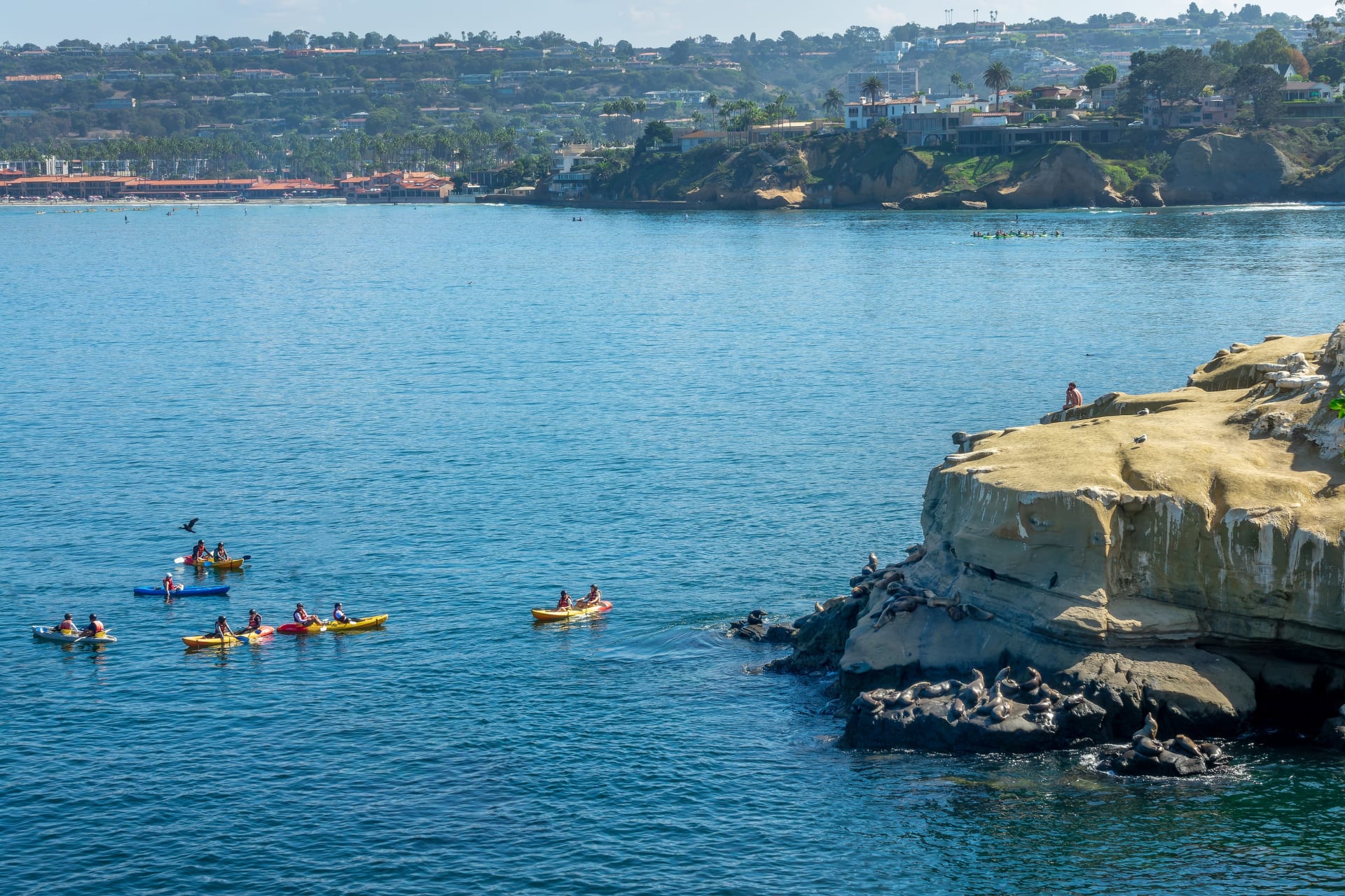 Des kayakistes à La Jolla Cove