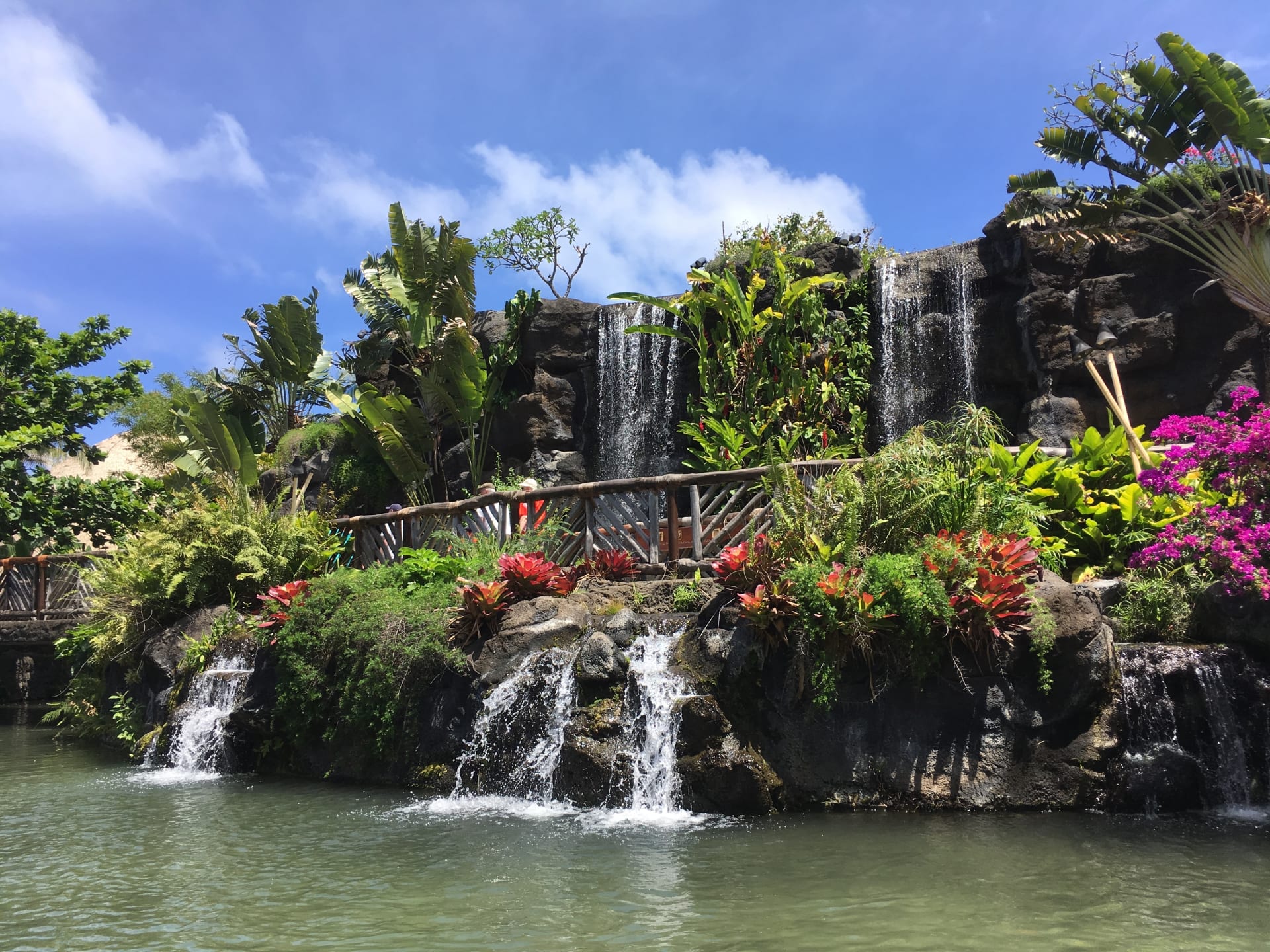 lagoon-topical-plants-polynesian-cultural-center