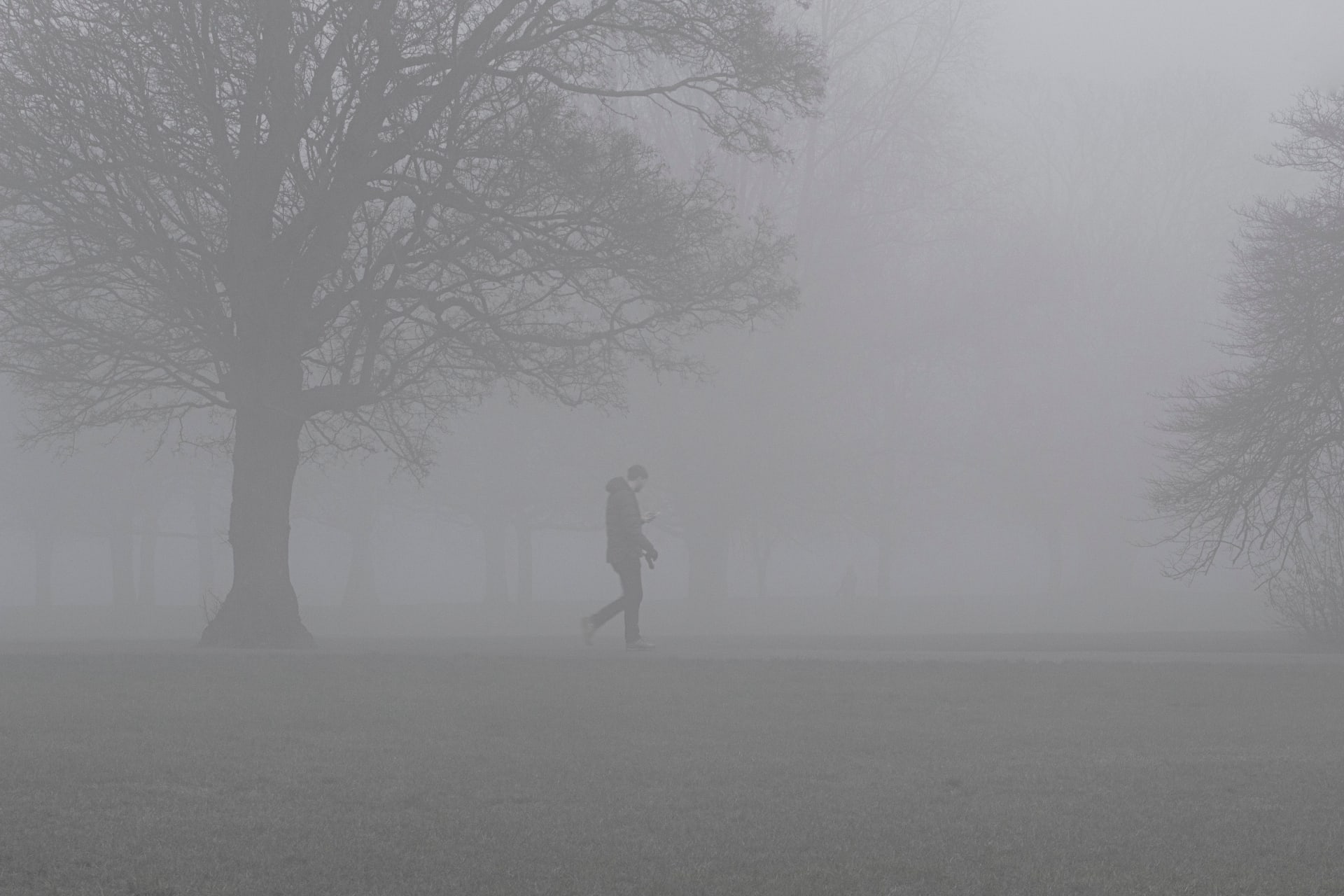 ida-ao-trabalho-pela-manha-parque-com-nevoeiro-em-londres