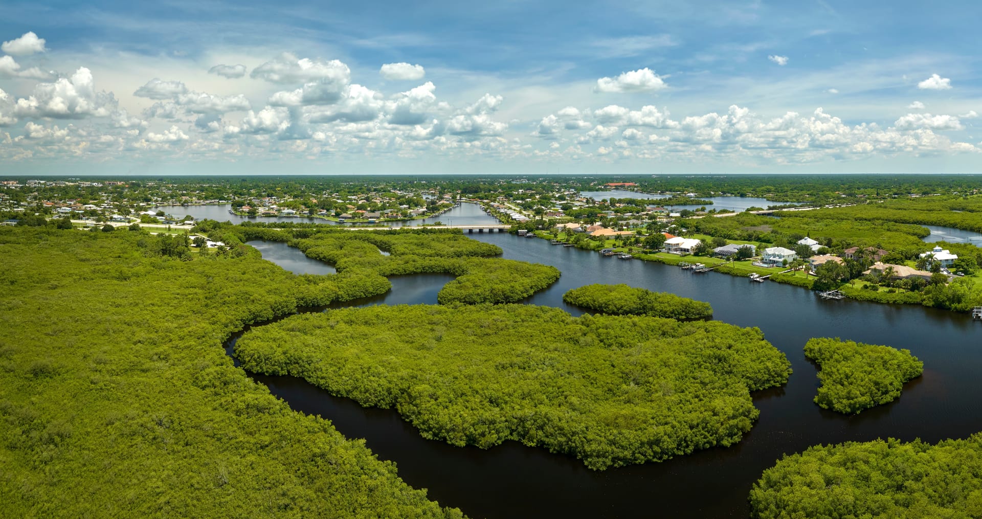 overhead-view-everglades-swamp-green-vegetation
