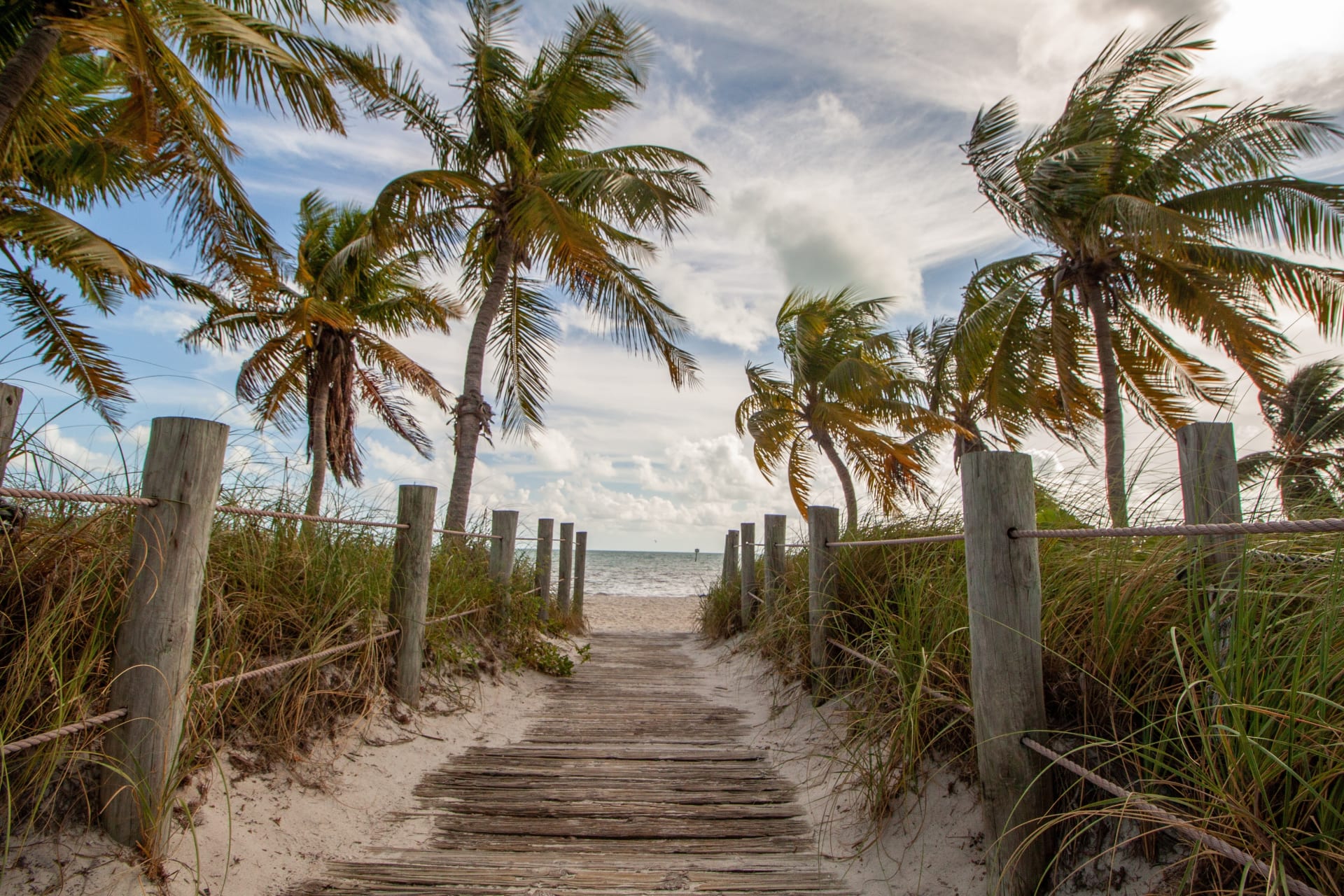 palm-trees-on-key-west-florida