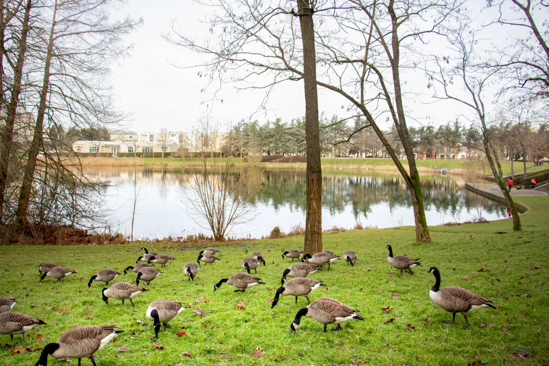 Les Villages Nature Paris non ed