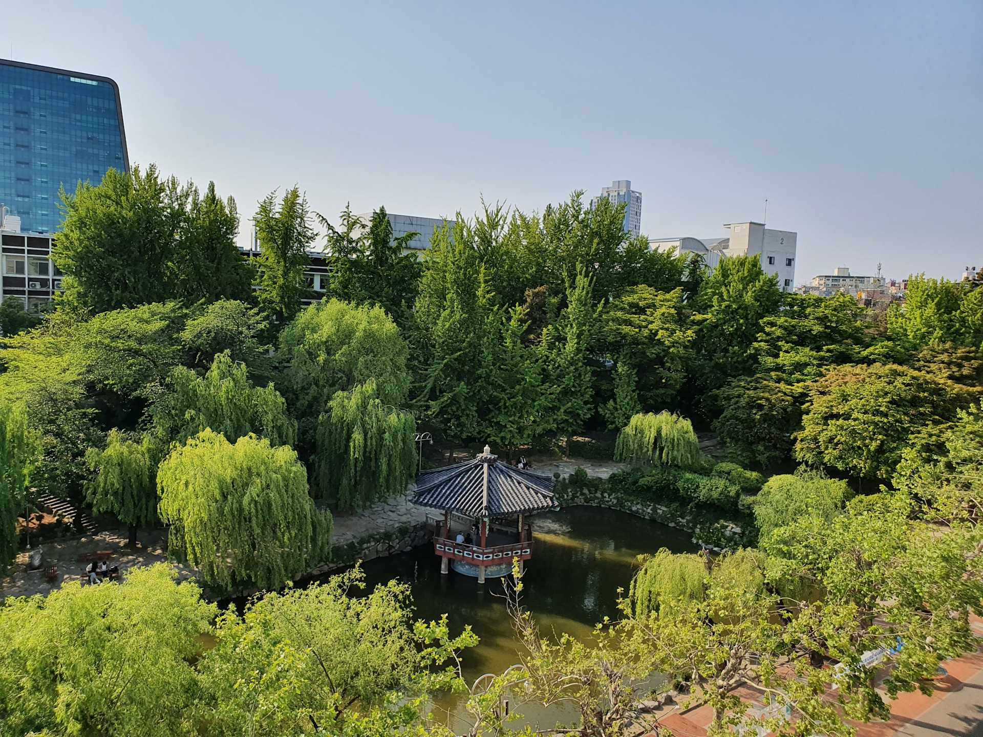 Aerial View of Park