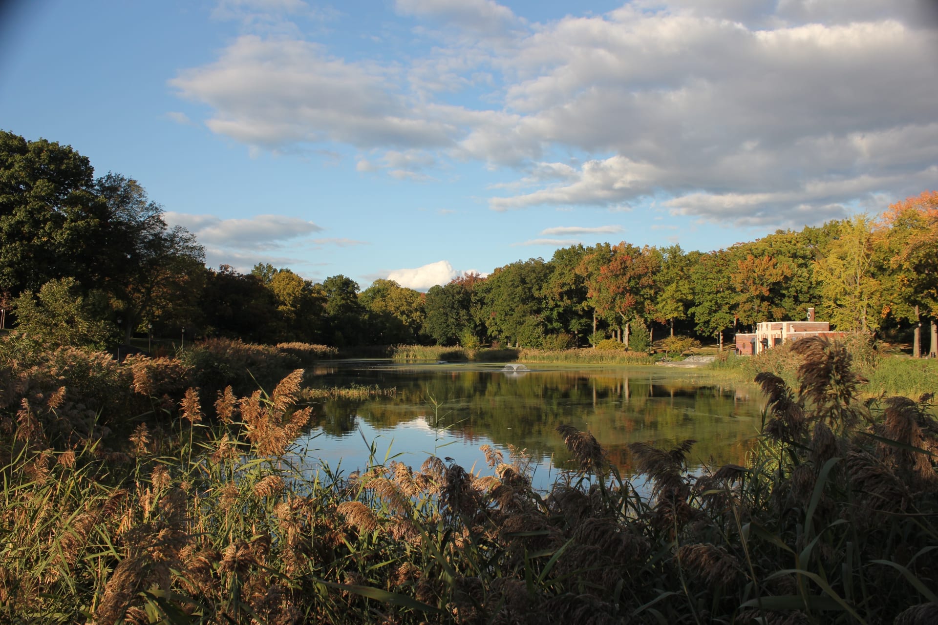 prospect-park-brooklyn-lake-view