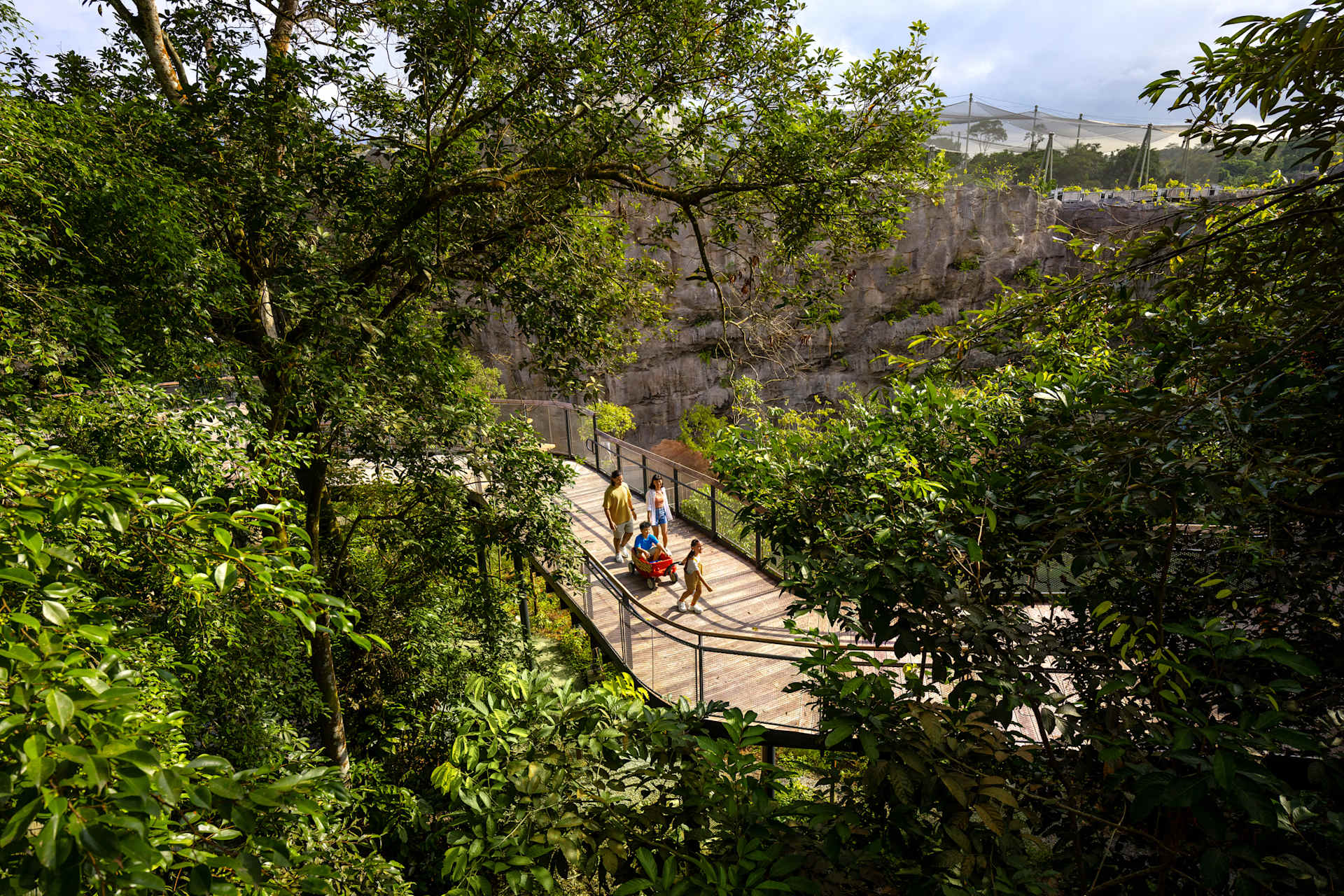 Rainforest Wild 