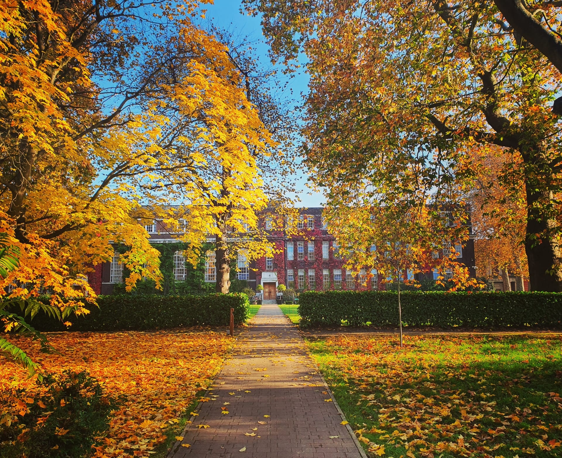 리젠트 대학교(Regent’s Uni)
