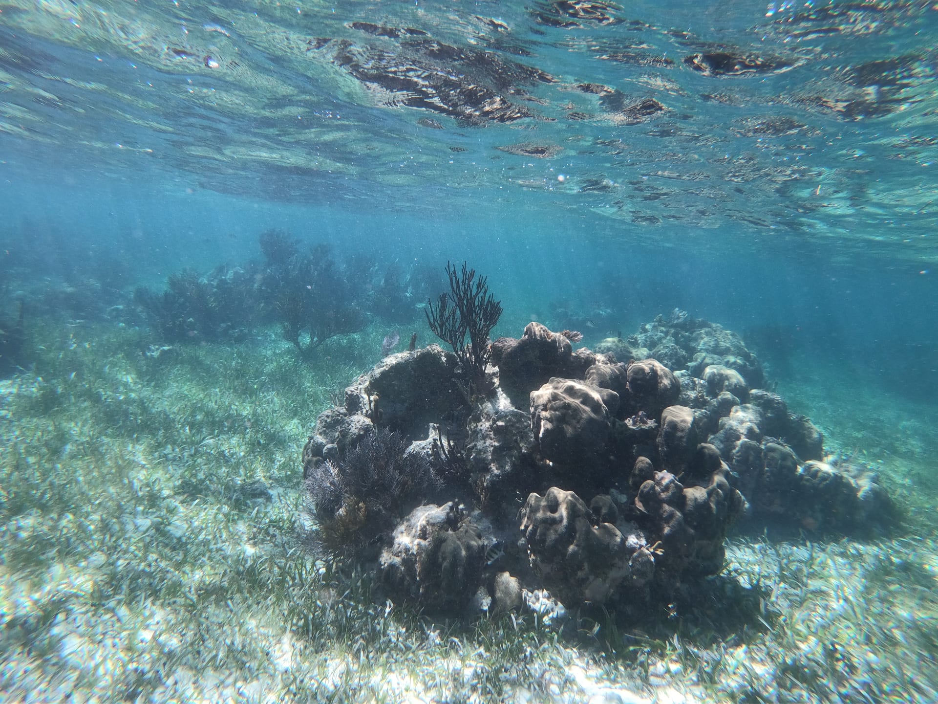reef-front-puerto-morelos