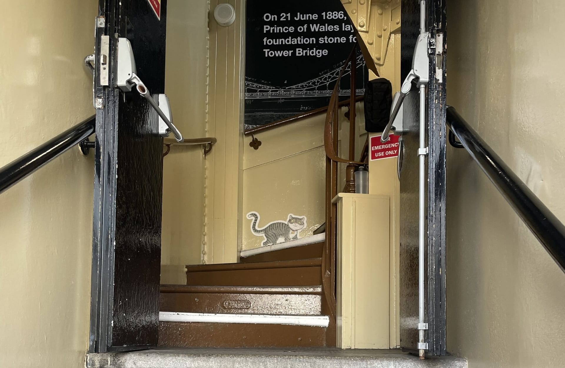 Katzen-Tour Tower Bridge