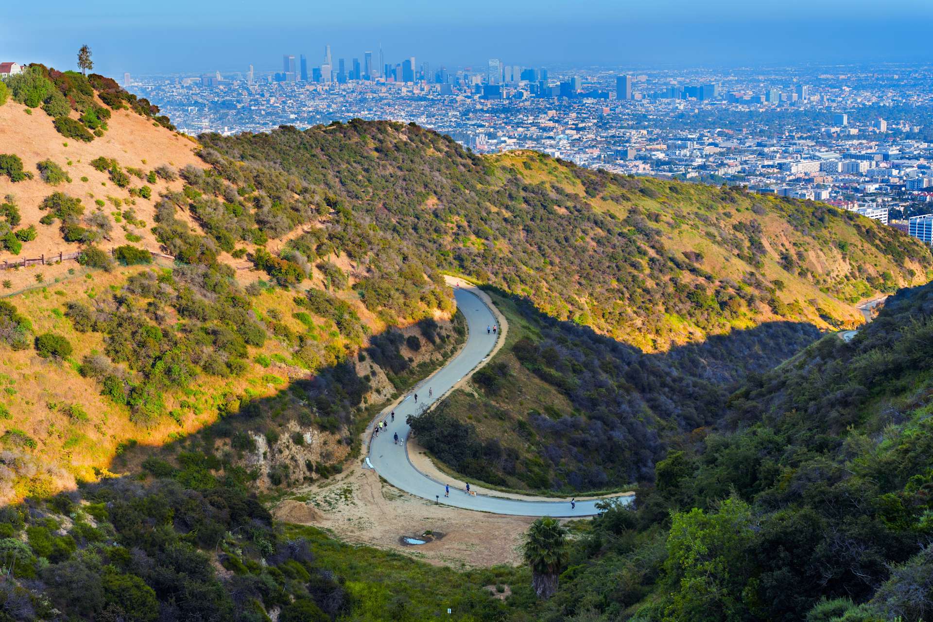 Runyon Canyon Park 