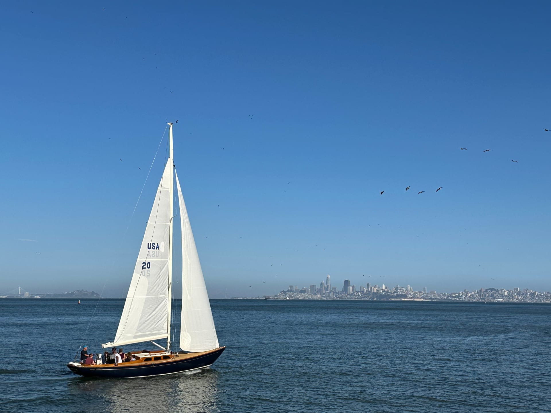 sailboat-san-francisco-sausalito