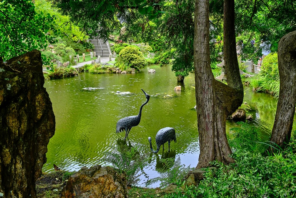 San Francisco 4th of July Weekend