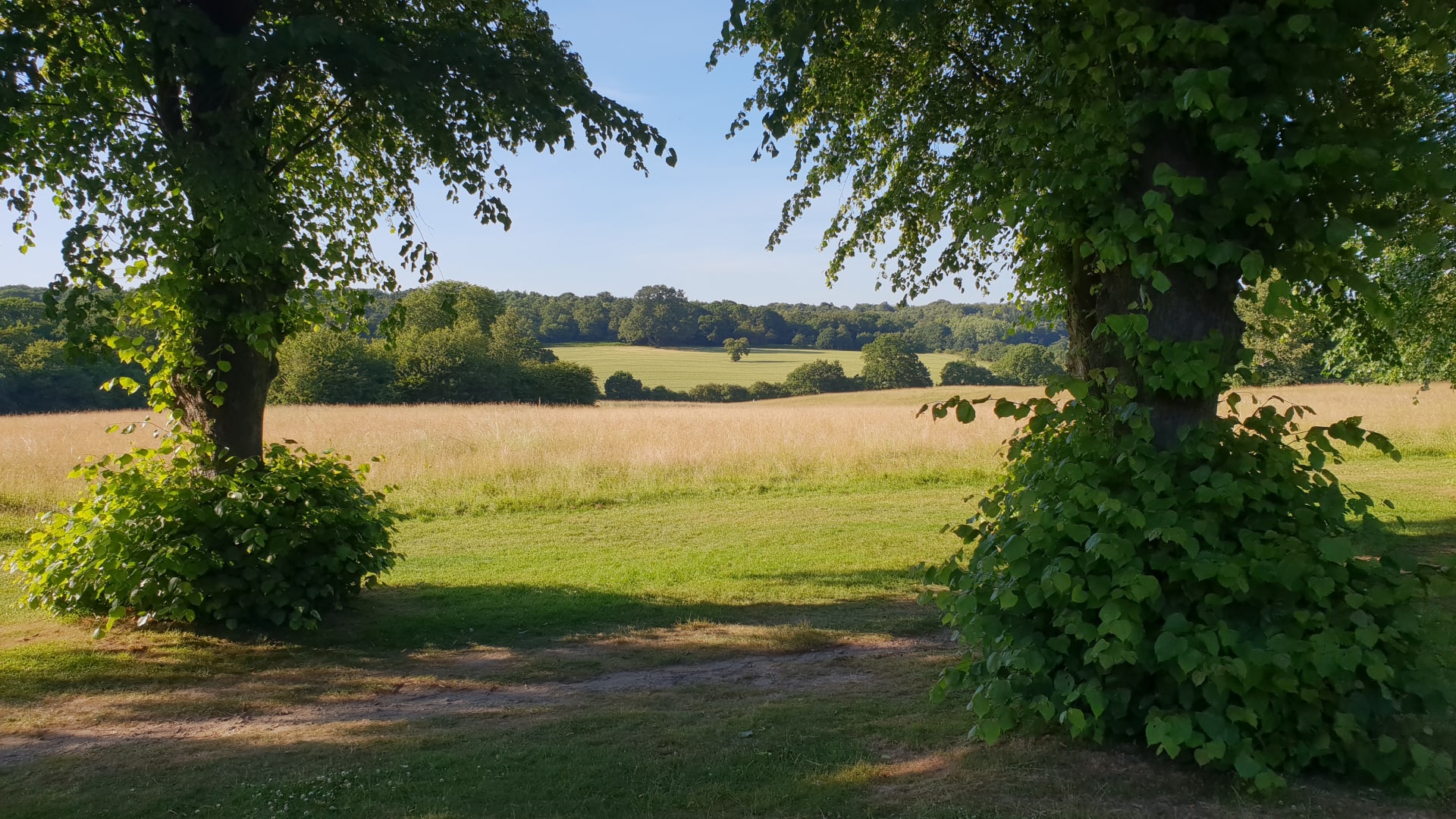 paysage-trent-park-londres