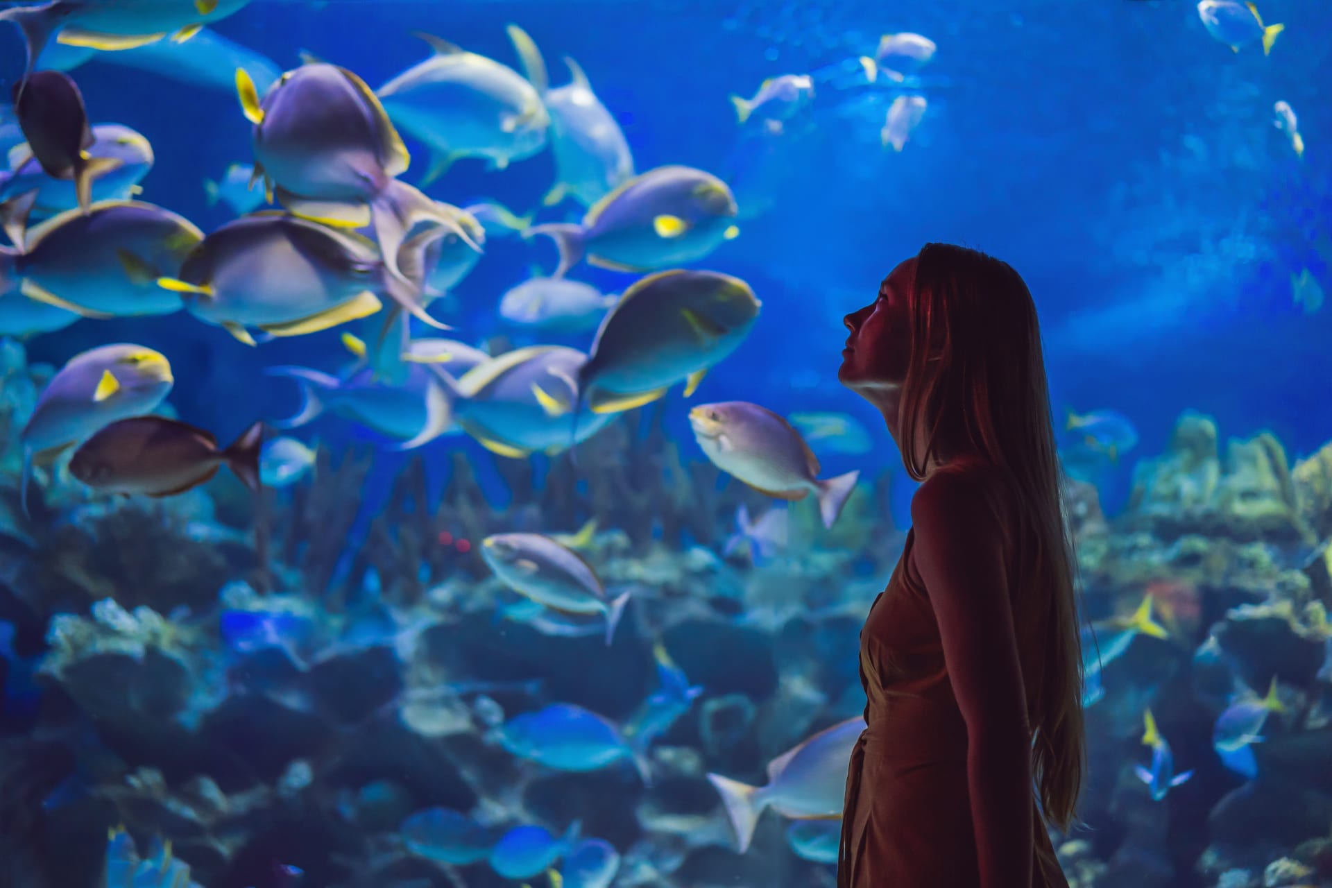 Woman standing in front of tank of fish